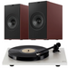 KEF Coda W and Rega Planar 1 turntable package | Melbourne Hi Fi5