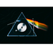 Pro-Ject | Dark Side Of The Moon Turntable | Melbourne Hi Fi1