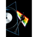 Pro-Ject | Dark Side Of The Moon Turntable | Melbourne Hi Fi2
