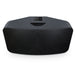 Bluesound | PULSE 2i Premium Wireless Speaker | Melbourne Hi Fi3